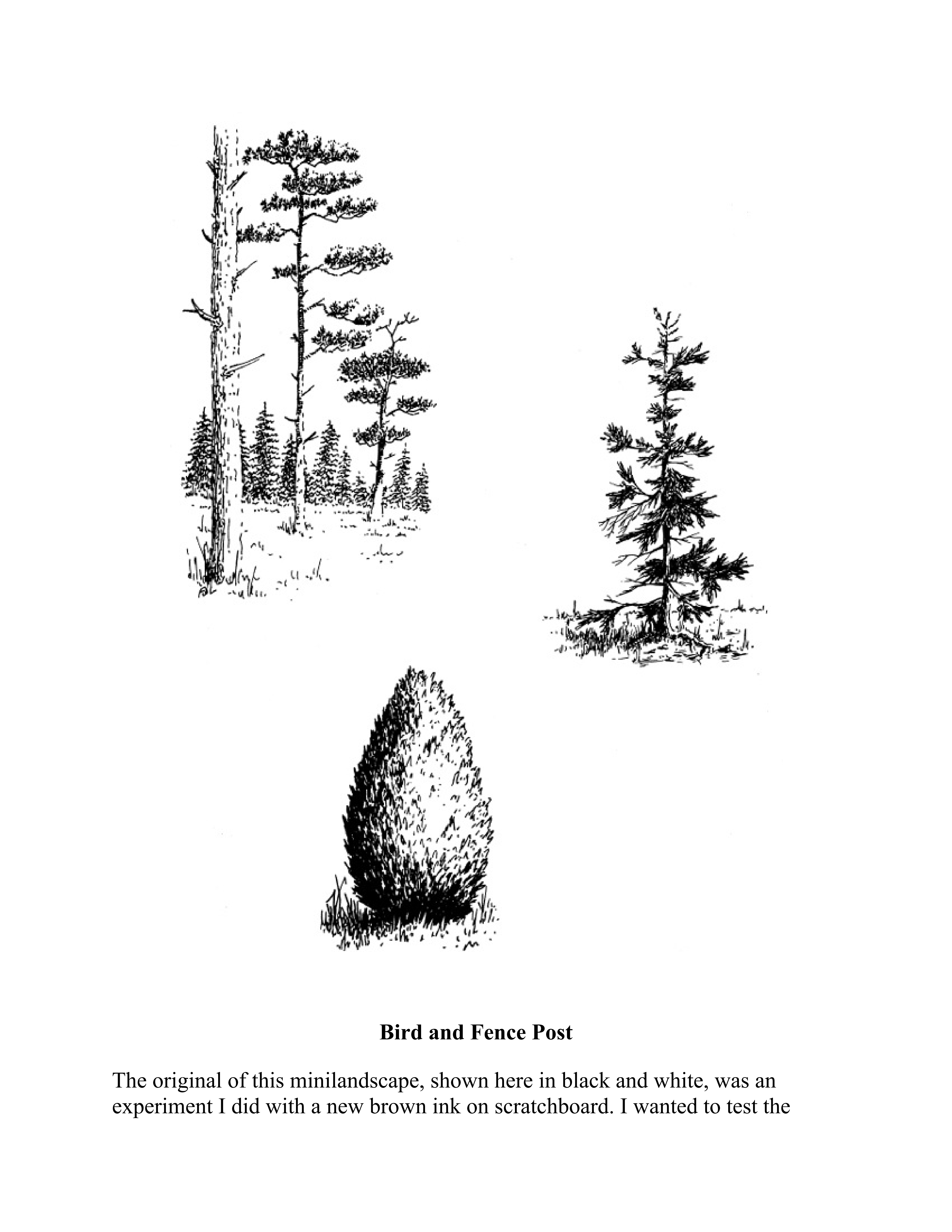 آموزش نقاشی طراحی سیاه قلم شهرری